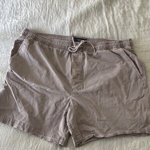American Eagle Outfitters Light Brown Flat Front Men Shorts